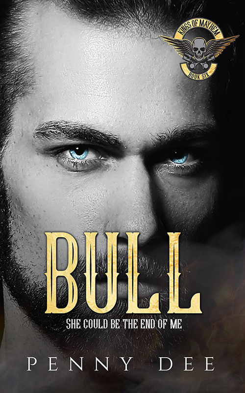 Bull book Cover